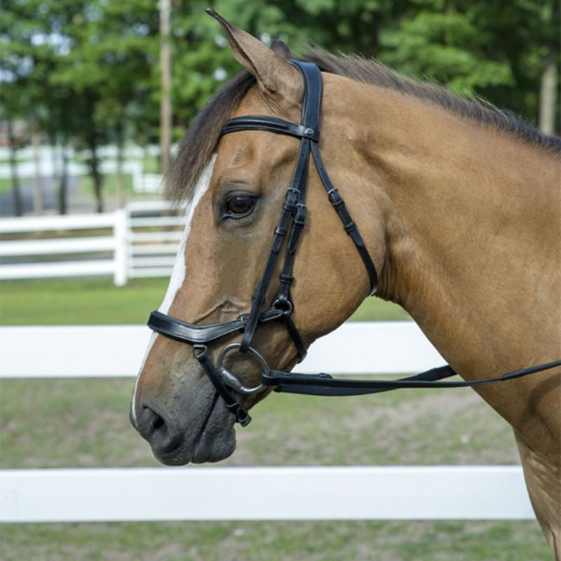 Henri de Rivel Pro Anatomical Bridle