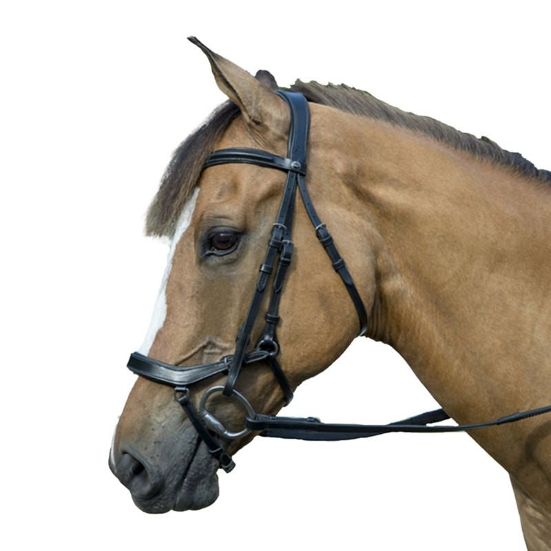 Henri de Rivel Pro Anatomical Bridle