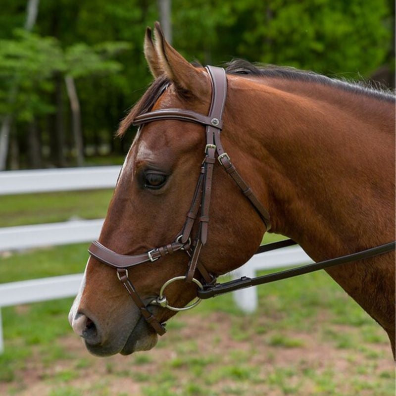 Henri de Rivel Pro Anatomical Bridle