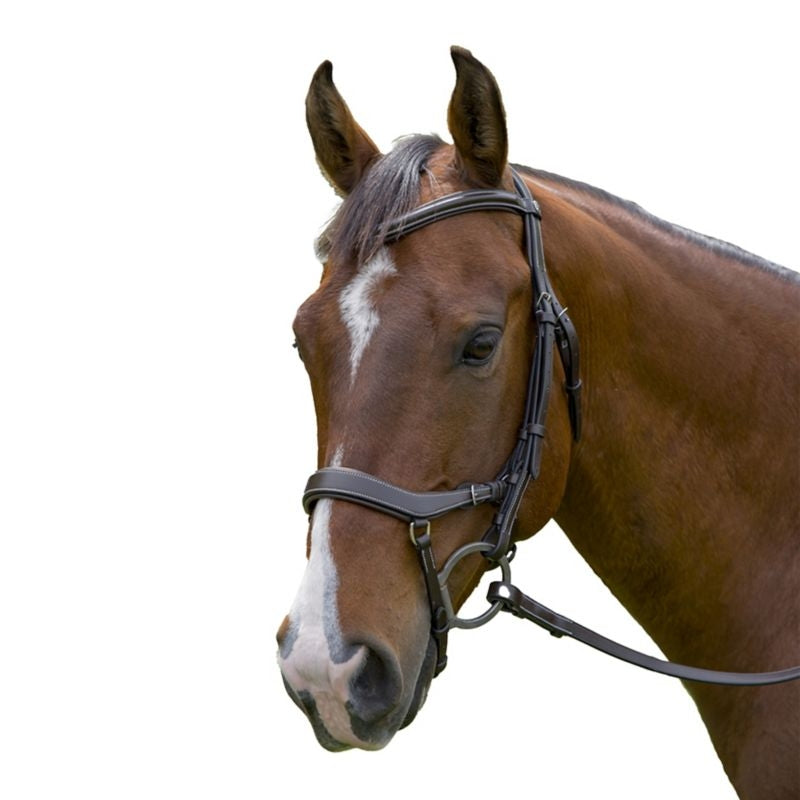 Henri de Rivel Pro Anatomical Bridle