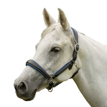 HDR Cahill Padded Halter