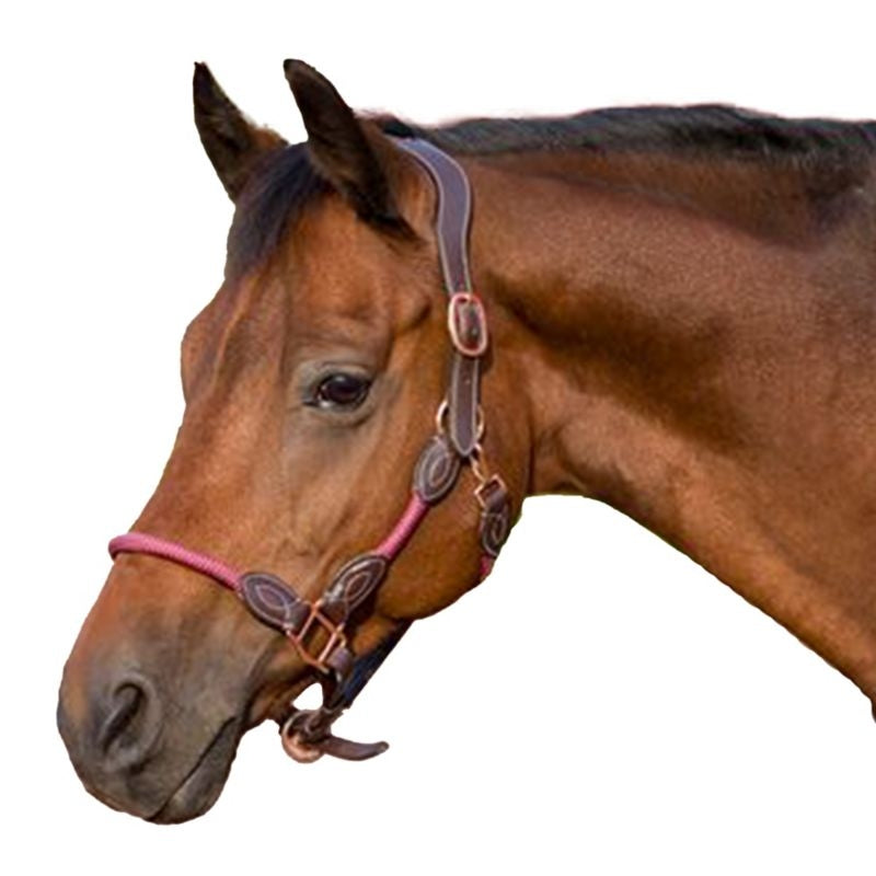 Henri de Rivel Leather Rope Halter
