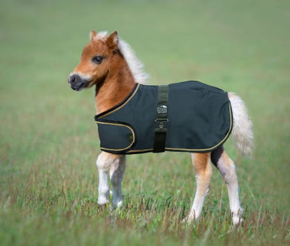 Ozark Mini Adjustable Foal Blanket