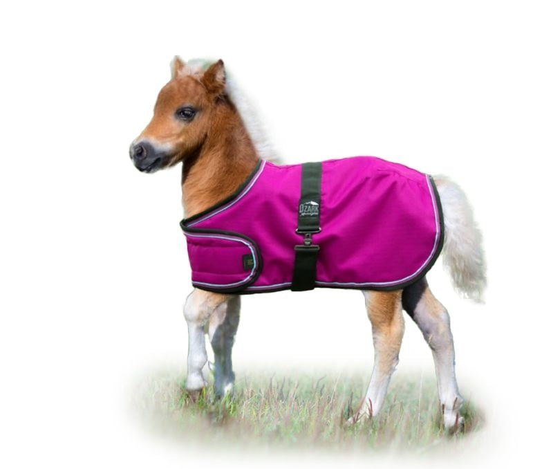 Ozark Mini Adjustable Foal Blanket