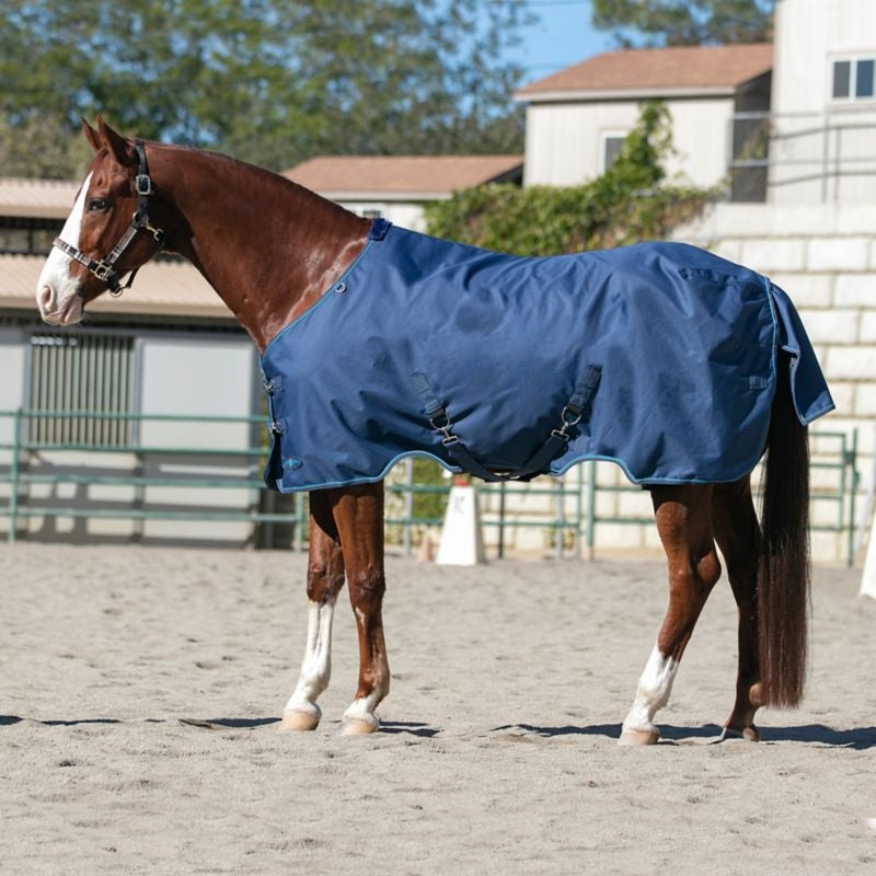 Kensington Pony 1200D Turnout 80g
