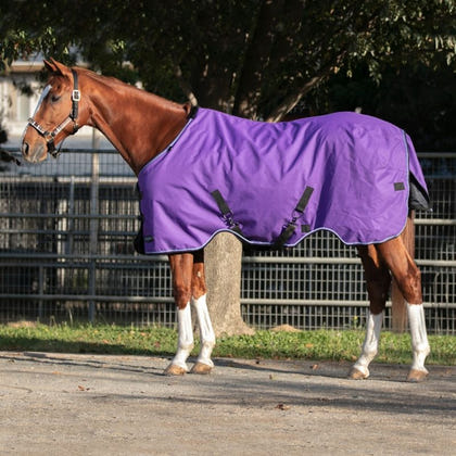 Kensington Signature Rain Sheet