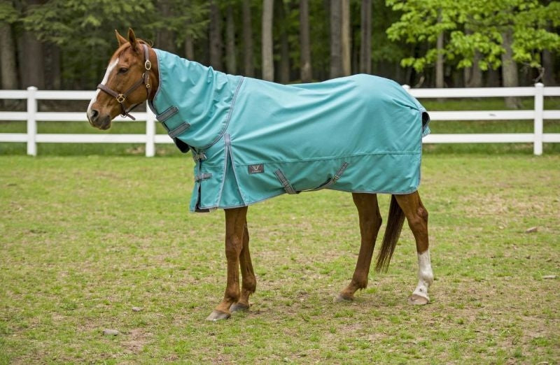 TuffRider 1200D Comfy DAN Sheet