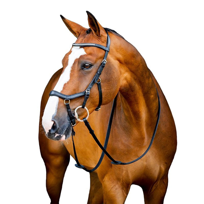 Micklem2 Diamante Competit Bridle