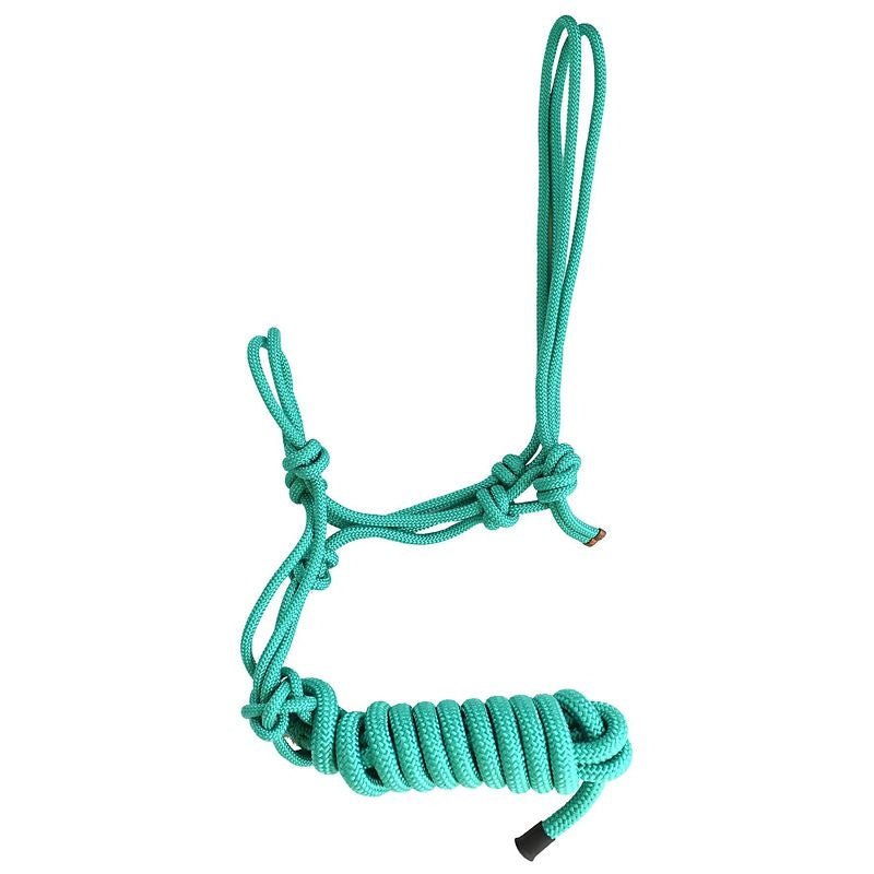 Gatsby Classic Cowboy Halter with Lead