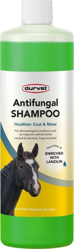 Durvet Antifungal Equine Shampoo 32 oz