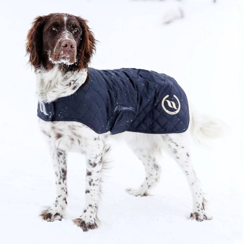 Back On Track Nights Collection Dog Coat