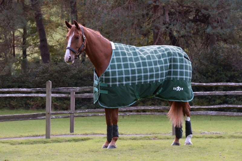 Saxon Defiant 1200D Stand Med TO