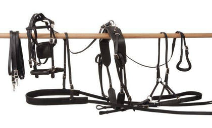 Royal King Leather Pony Harness