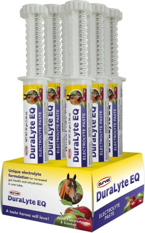 DuraLyte Eq Max Electrolyte Probiotic Paste