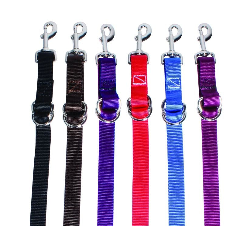 Professionals Choice Nylon Tie Down Strap