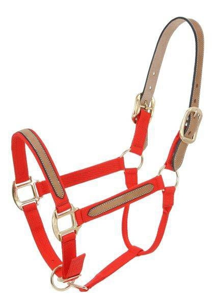 Double Ply Leather Crown Strap Horse