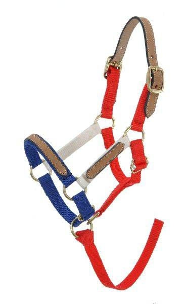 Single Ply Mini Leather Crown Strap Replace Mini B