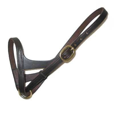 Foal Slip Halter