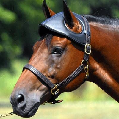 Leather Head Bumper Black