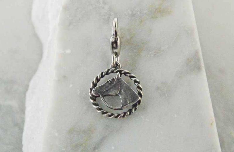 Barbary Horse Head In Rope Circle Silver