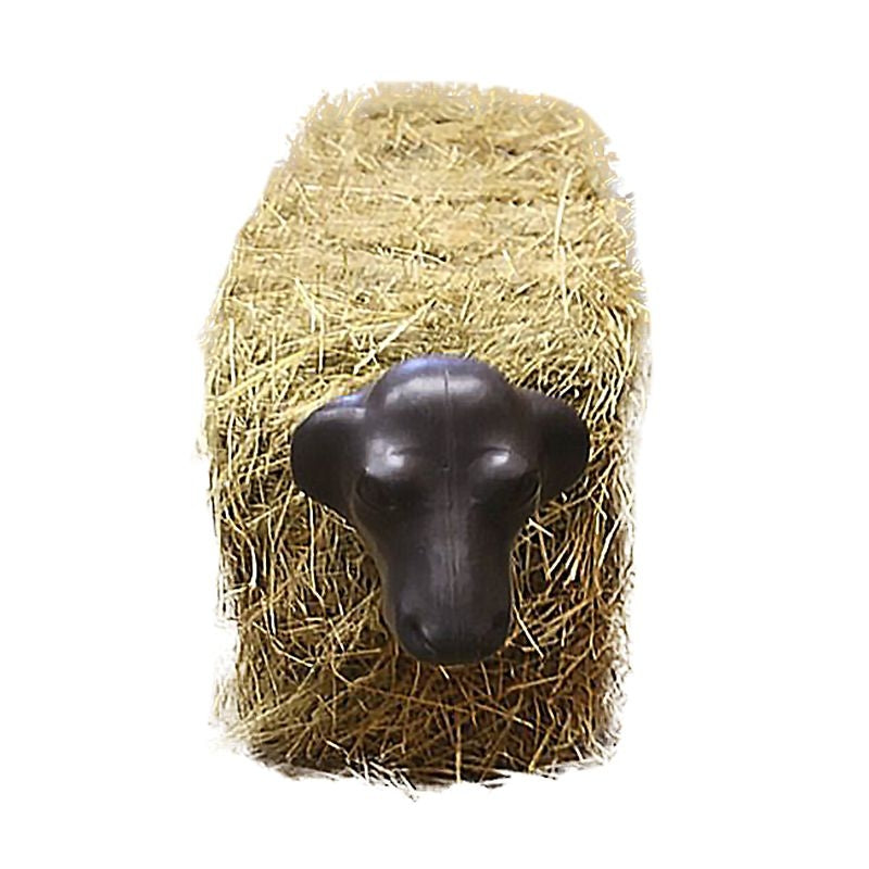 Calf Head With Hay Bale Spikes Black