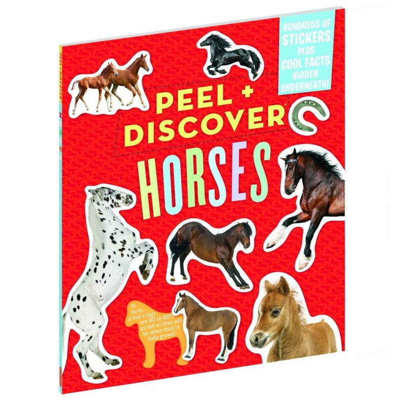 Kelley Peel plus Discover Horses