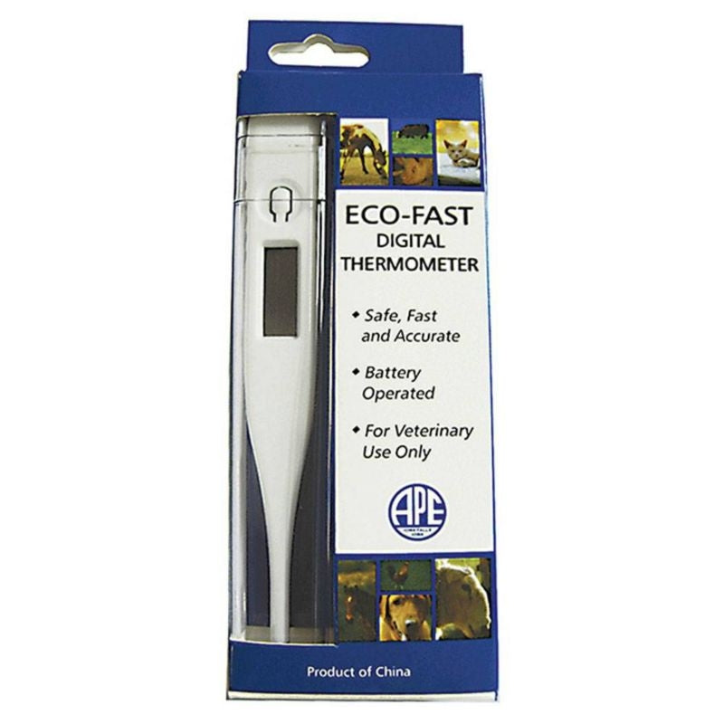 EcoFast Digital Thermometer