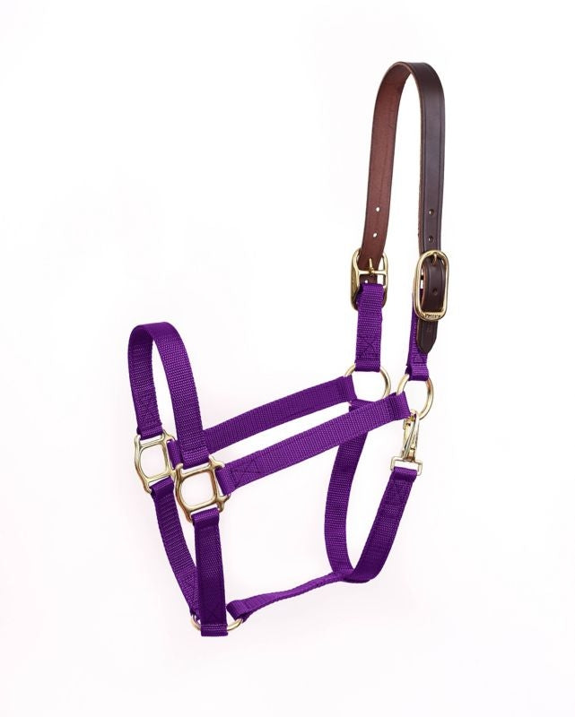 Perris Economy Safety Halter