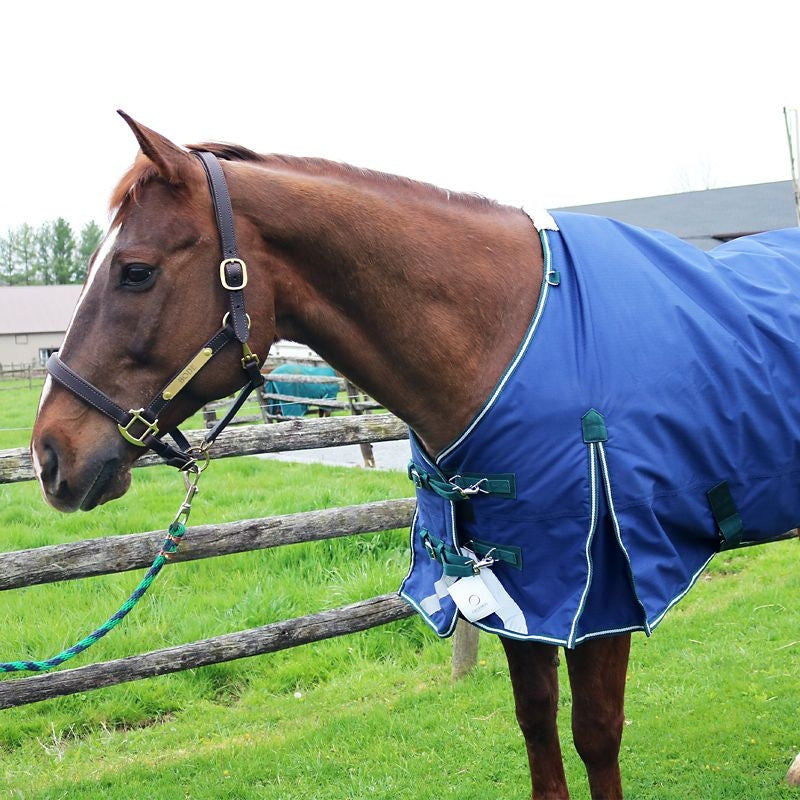 Pro-Trainer No-Fill TO Sheet with Neck Cover 1200D