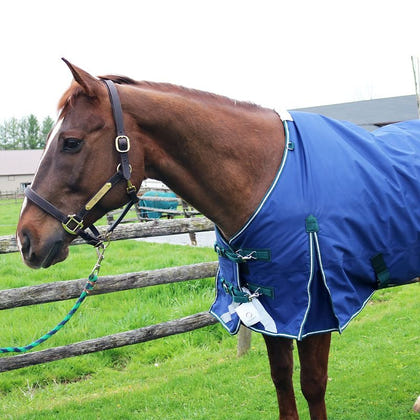 Pro-Trainer No-Fill TO Sheet with Neck Cover 1200D