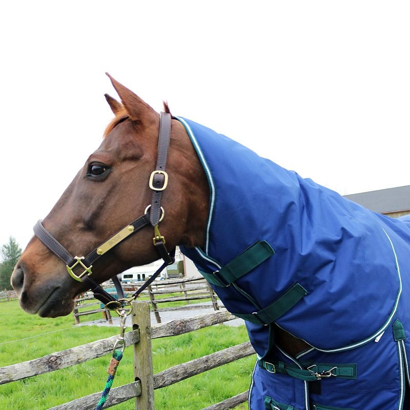 Pro-Trainer No-Fill TO Sheet with Neck Cover 1200D