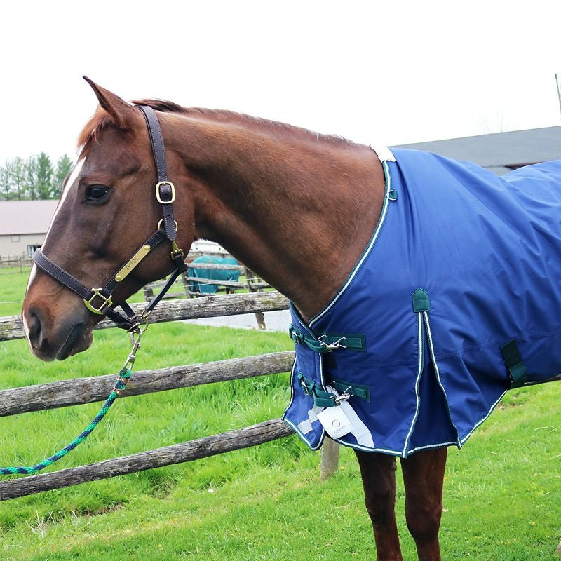Pro-Trainer 300G TO Blanket with Neck Cover 1200D