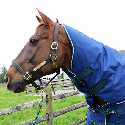 Pro-Trainer 300G TO Blanket with Neck Cover 1200D