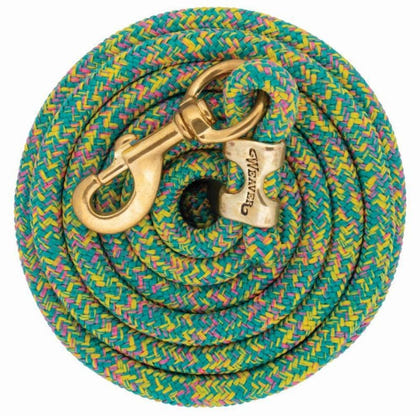 Weaver Poly Lead Rope with Brass Snap 10Ft