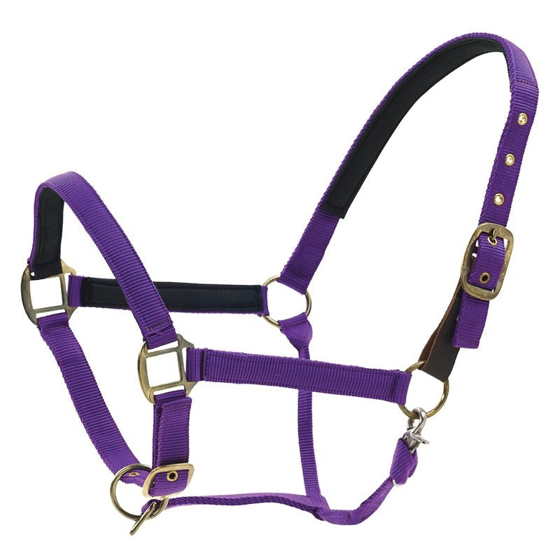 Centaur Super Padded Comfort Halter