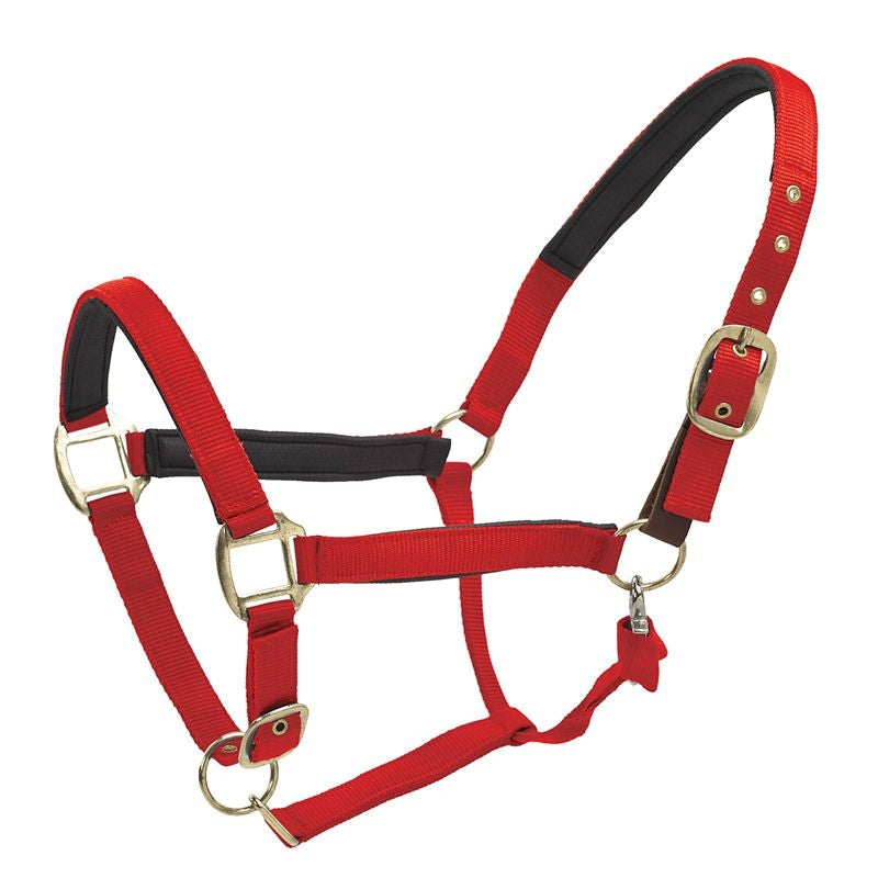 Centaur Super Padded Comfort Halter