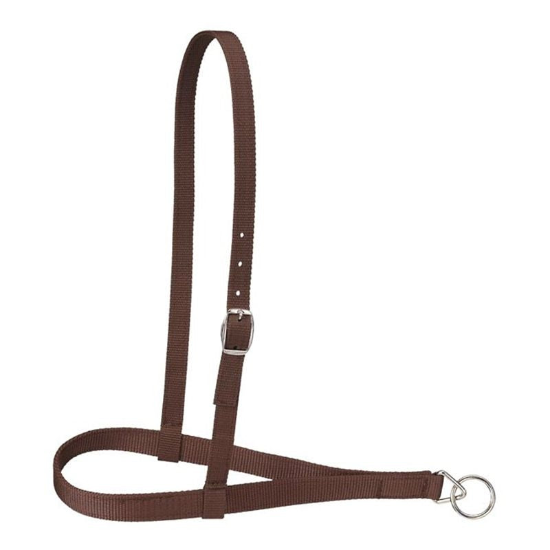 Royal King Nylon Web Noseband