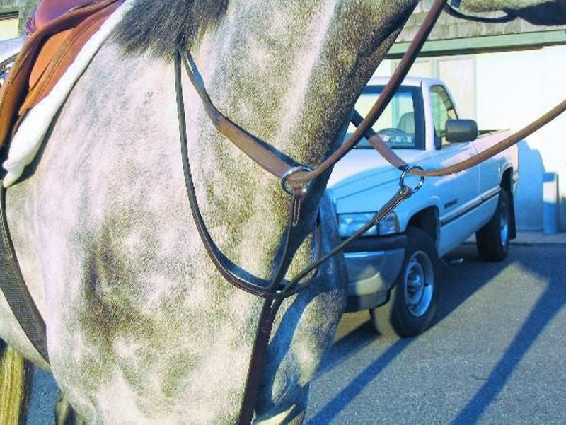 Nunn Finer Running Martingale Cob Black/Brass