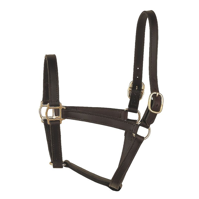 Perris Track Style Leather Turnout Halter Cob Brn
