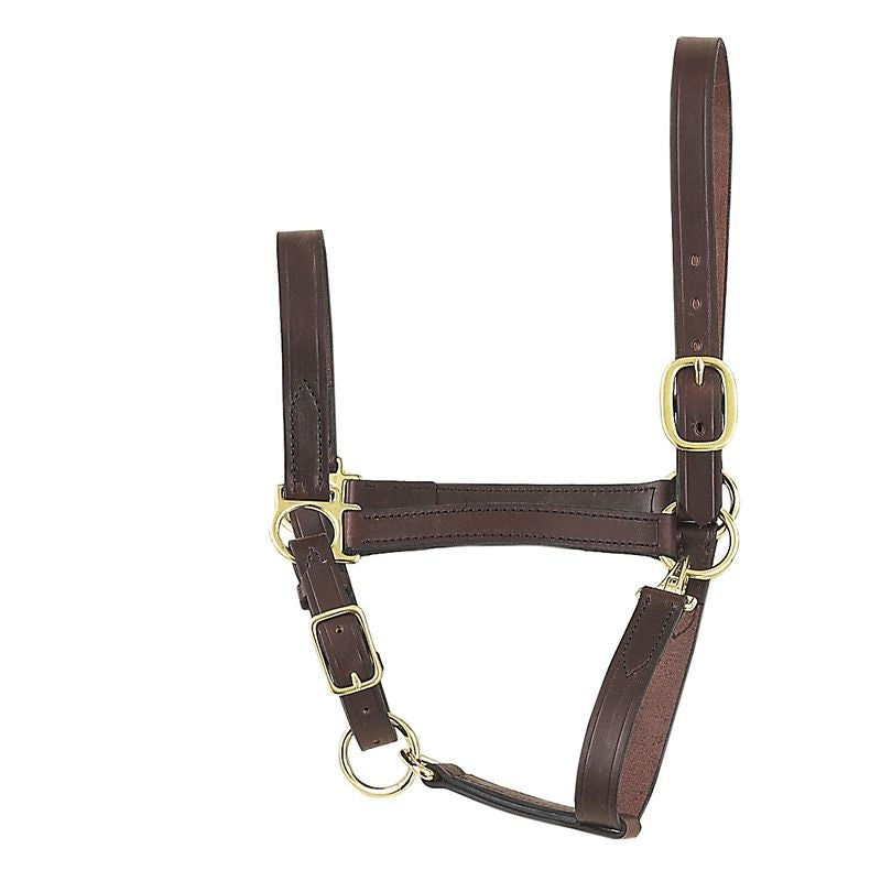 Perris Leather Economy Halter