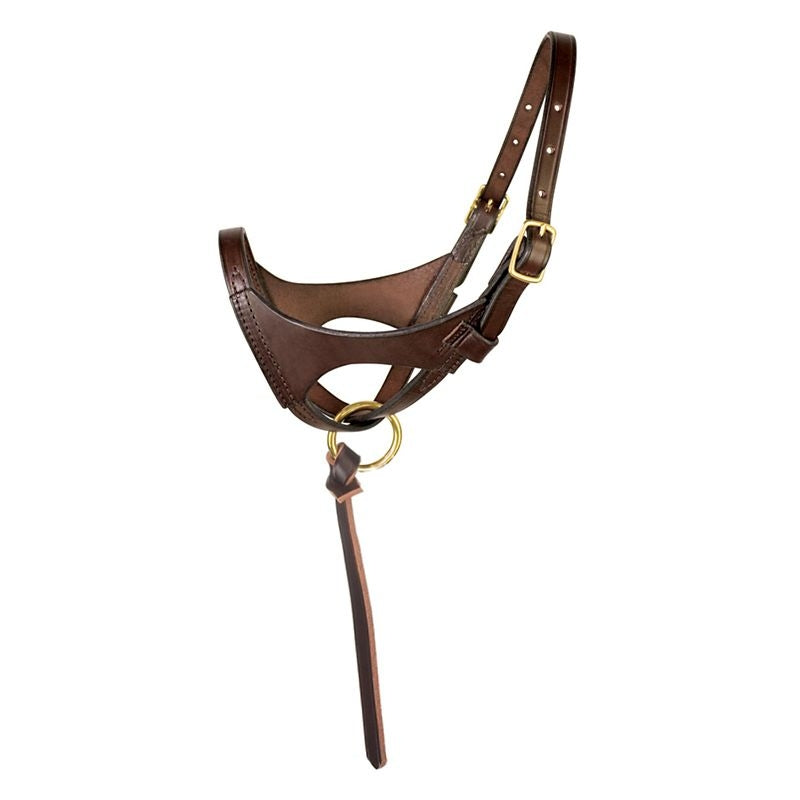 Perris Leather Premium Havana Foal Halter