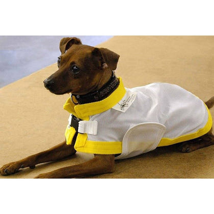Saratoga Horseworks K9 Kool Coat 8 White/Black