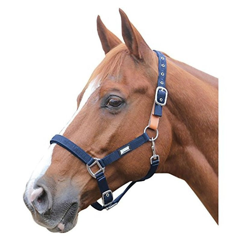 Roma Breakaway Headcollar Halter II