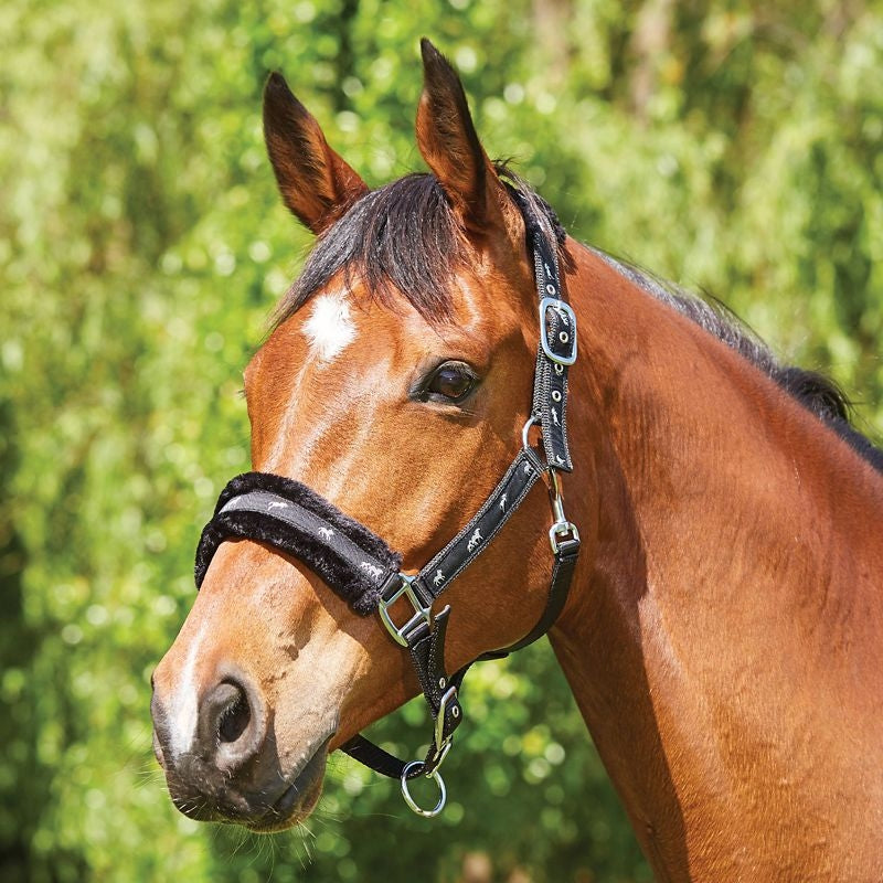 Saxon Fleece Lined Ribbon Headcollar