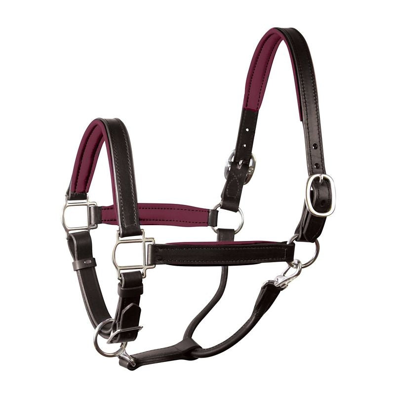 Perri's Personalized Padded Leather Halter