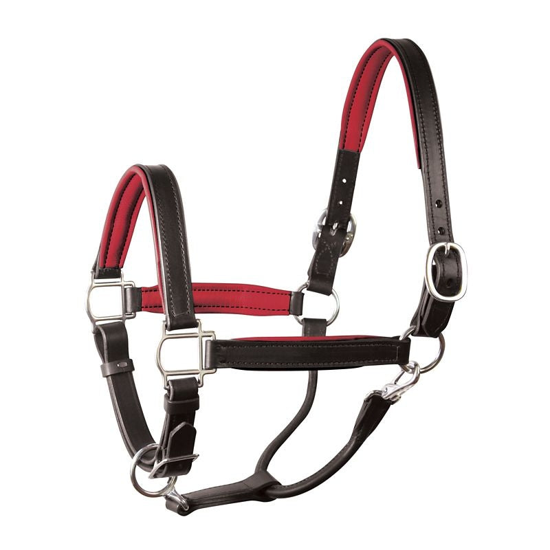 Perri's Personalized Padded Leather Halter