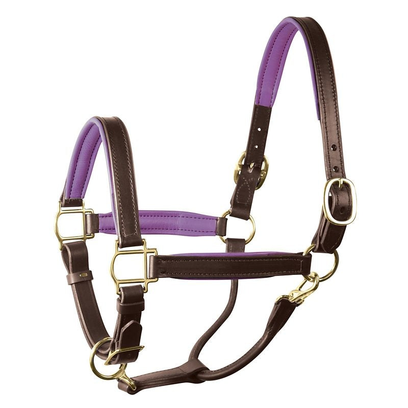 Perri's Personalized Padded Leather Halter
