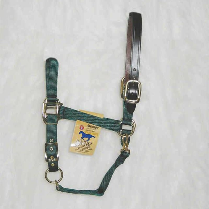 Adjustable Halter with Leather Crown Yearling Blk