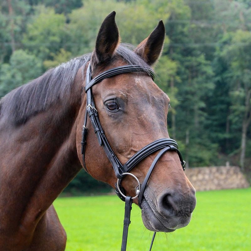 Vespucci Double Raised Snaffle Bridle