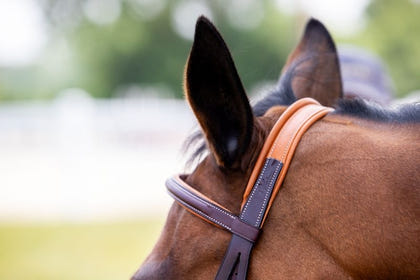 Vespucci Fancy Raised Hunter Bridle